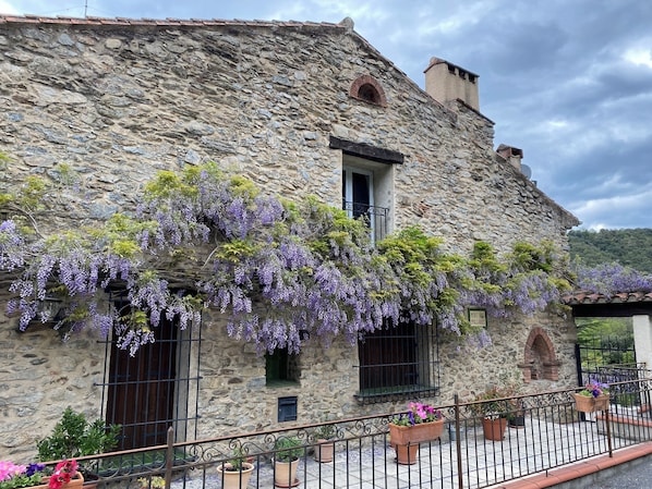The facade of Mas Pallares with our window above the wisteria