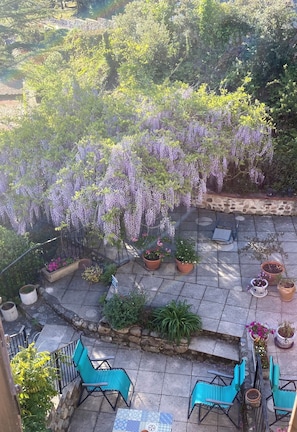 View of the garden out the side window