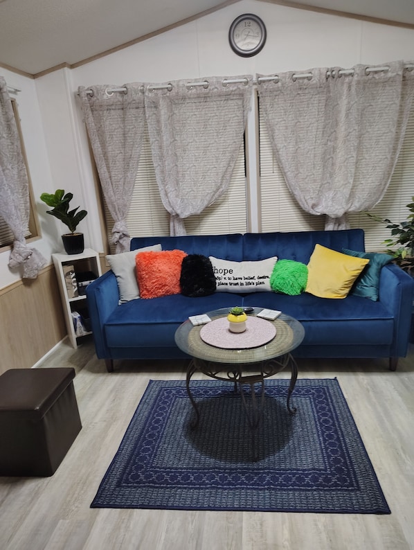 living room with pull out couch