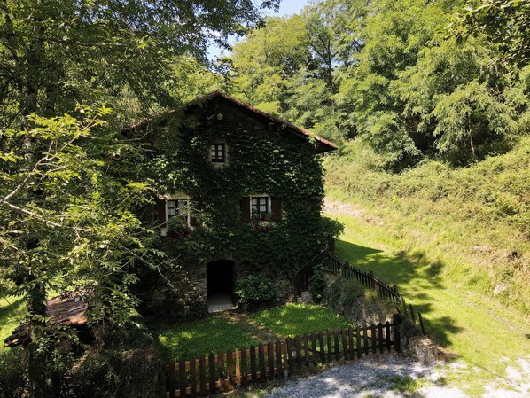 Exteriör