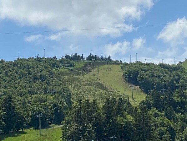 Sekalaista
