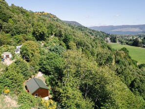 Baum, Natürlichen Umgebung, Natur, Vegetation, Natürliche Landschaft, Landschaft, Ländliches Gebiet, Strauch, Hochland, Pflanzengemeinschaft