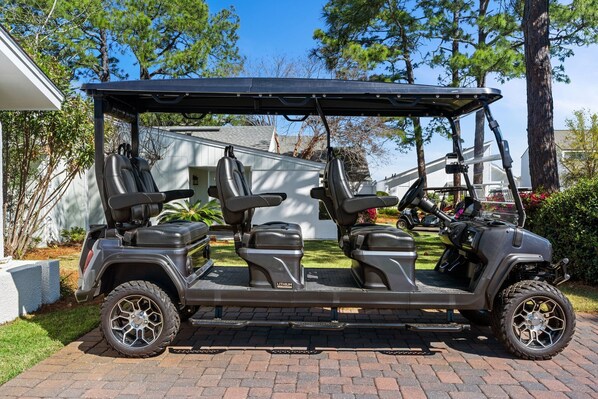 New 6 Seater Cart Included