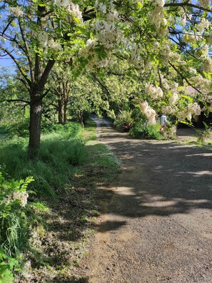 Boendeområde