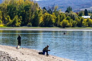 Fish at Pineview Reservoir