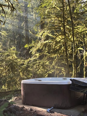 Take in the crisp mountain air, surrounded in a canopy of trees