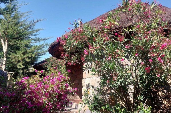 Fachada