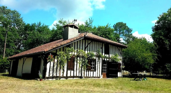 Exteriör
