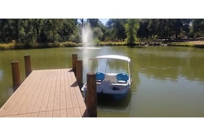 Paddle Boat available for the 1 acre pond and feed the 25 Large Koi & Turtles