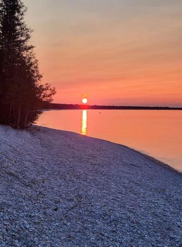 Ranta