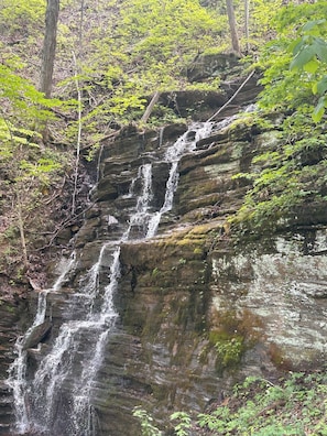 Walk to the waterfall!