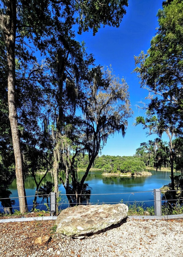 Back yard over looking quarry lake