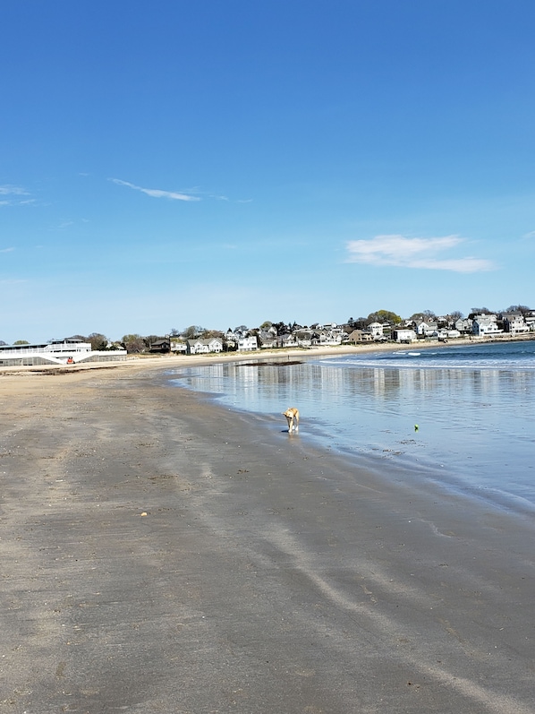 Plage