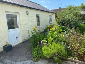 Image 6