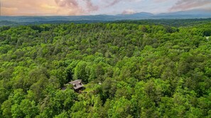 Aerial Views