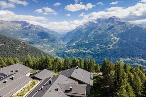 Nærtved liggende omgivelser (sommer) (< 1 km)
