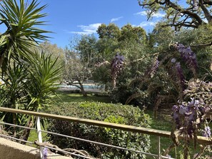 Balcony / Terrace / Patio, Outdoor
