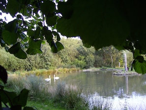 Boendeområde