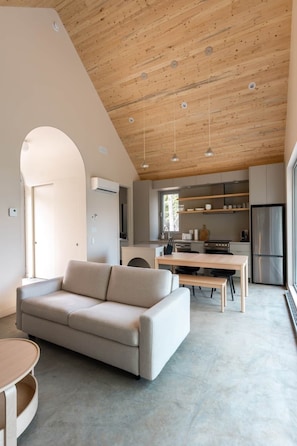 Open concept living room and kitchen