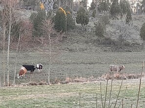 Aussicht