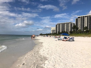 Strand