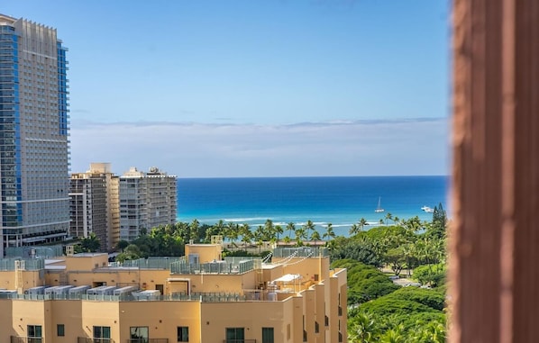 View from the Lanai