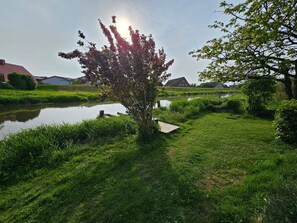 Lüheblick