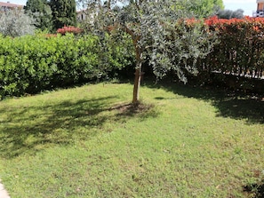 Grass, Shrub, Garden, Lawn, Land Lot, Plant Community, Groundcover, Backyard