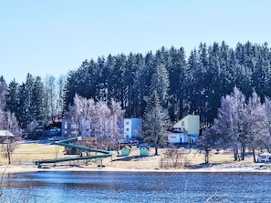 Baum, Winter, Schnee, Einfrieren, Lärche, Immergrün, Pine Familie