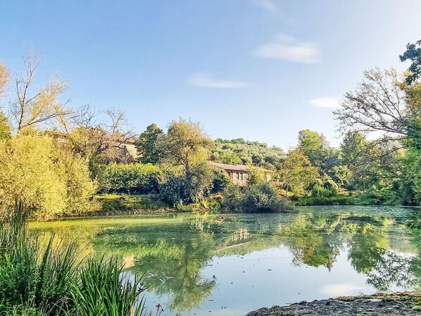 Schwimmbad, Verbundwerkstoff, Wohnung, Eigentumswohnung, Villa, Landscaping, Resort, Hotel, Balkon, Eco Hotel
