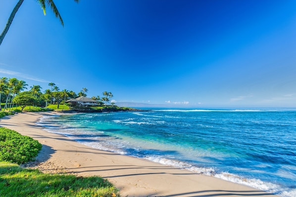 Relax and Swim at the Award-Winning Kapalua Beach and Bay