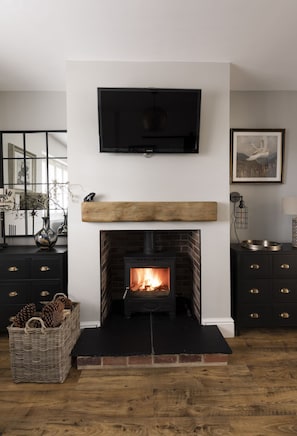 Pigswood Cottage - the log burner in the living area