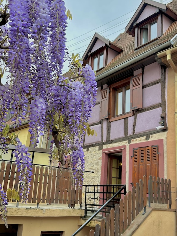 The beautiful lilac rear facade