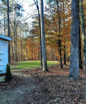 Site for New Tiny House!