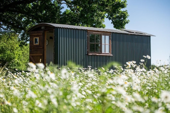 Escape to your charming shepherd's hut, perfectly nestled amidst a dreamy wildflower meadow.