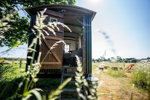 Discover a charming off-grid haven and embrace countryside views.