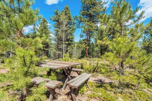 Dine among the pines at this rustic picnic table nestled in nature—perfect for peaceful lunches or a scenic coffee break in the forest.







4o

