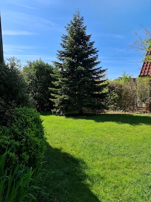 Boendeområde
