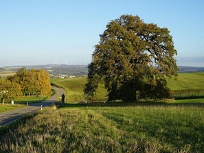 Ferienwohnung Am alten Holzweg