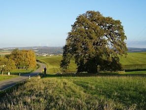 Ferienwohnung Am alten Holzweg