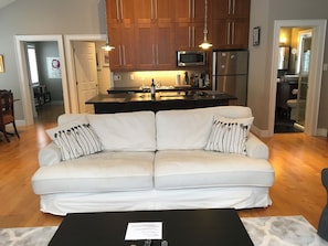 Queen sofa bed in living room.