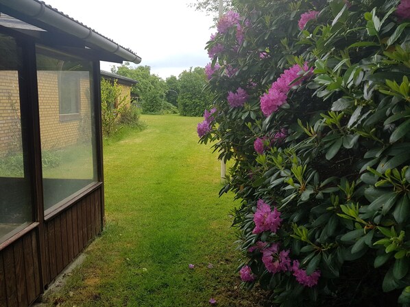 Exteriör