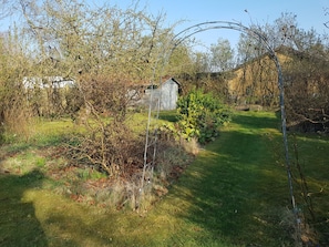 Esterni