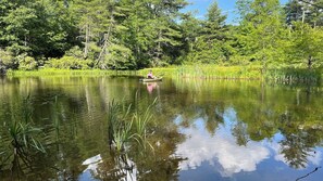 Kayaking on the lake provides an up-close look at some of the resident animals, including turtles and fish.