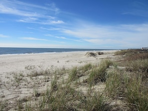 Beach in Front of House