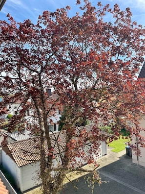 Boendeområde