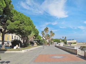 Arbre, Espace Public, Trottoir, Passerelle, Ombre, Vacances, Éclairage Public, Tropiques, Boardwalk