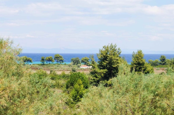 Seaview from the room