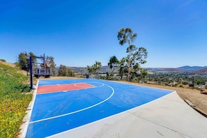 NBA basketball court and soccer net
Basketballs and soccer balls included!