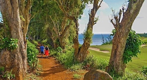 Spacious trail steps from the townhome, down to Anini Beach!